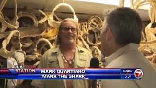 Mark the Shark saves seagull Channel 7 News @TheRealMarkTheShark ​#News @peta #shark #peta