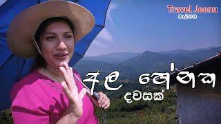 අල හේනක දවසක්  |  Potatoes Harvest | welimada Ala wagawa