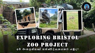 Exploring Bristol Zoo Project - Full Guide