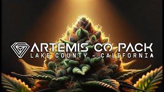 Artemis Co-Pack: A Lifeline for Northern California’s Small Cannabis Farmers