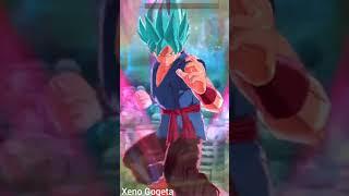 SuperMudit and Xeno Gogeta vs Demon King Piccolo