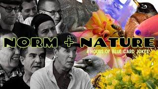 Norm + Nature: the COMPLETE Blue Card Jokes Collection