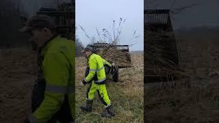 Больше сено не покупаю - Кошу зимой  #т40