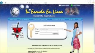 Tu Escuela en Linea - Inicio en la plataforma