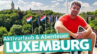 Luxemburg – Wandern und Sightseeing zwischen Mosel, Alzette und Sauer | ARD Reisen