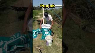 Best Fish Feed in India | FeedWale Fish Feed | Customer Feedback From Punjab