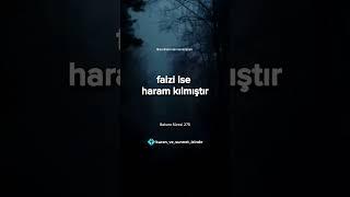 Bakara Sûresi 275. Ayet Meali #kuran #kuranıkerim #kuranmeali #kesfet #islam #quran #shorts