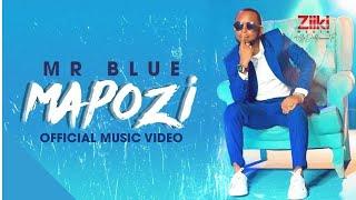 MAPOZI | MR BLUE | Official Video