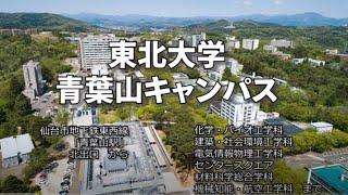 青葉山キャンパスを駆け抜ける　～東北大学工学部・夏