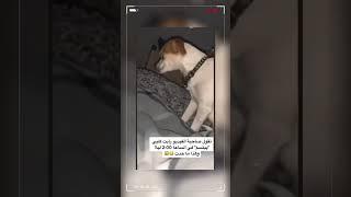 اشياء مخيفة ليس من المتوقع حدوثها صورتها  pt.03