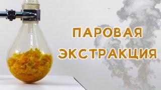 ПАРОВАЯ ЭКСТРАКЦИЯ. Апельсиновое масло - получение