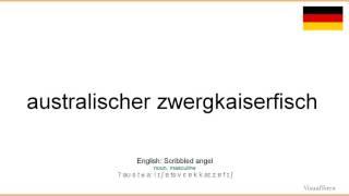 How to pronounce: Australischer zwergkaiserfisch (German)