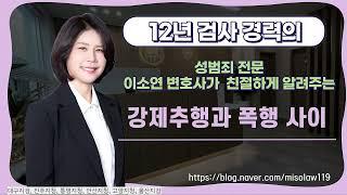 강제추행과 폭행 사이(때렸는데 강제추행이라고??)ㅣ울산형사전문변호사ㅣ울산검사출신변호사ㅣ울산형사변호사ㅣ법무법인 세영ㅣ정지연 변호사ㅣ이소연 변호사
