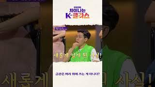 금관은 사실 머리 위에 쓰는 게 아니다? #차이나는K클라스