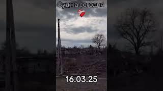 Суджа сегодня освобождена
