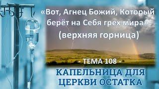 Вот, Агнец Божий, Который берёт на Себя грех мира... (Верхняя Горница). 30.12.2023