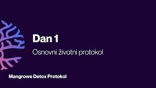 Detox protokol - Dan 1