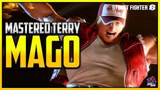 SF6 ▰ Mago Has Mastered Terry Bogard !! ▰ STREET FIGHTER 6