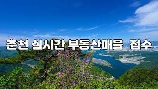 춘천 마당발TV : 춘천부동산 정보채널