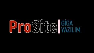 ProSite WEB - Gelir_Gider ve Faturalarınızı Nasıl İşlersiniz ?