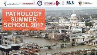 Pathology Summer School 2017