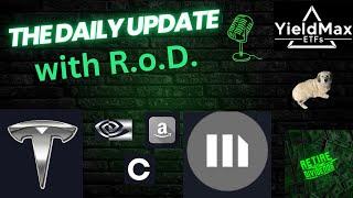 YieldMax ETFs TSLY, NVDY, MSTY, CONY, AMZY, & PLTY Holdings Review 2/27/25 #tsly #plty  #msty #cony