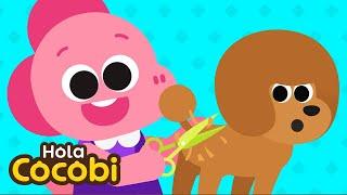 Peluquero de Mascotas | Qué Quieres Ser? | Canciones de Profesión para Niños | Hola Cocobi