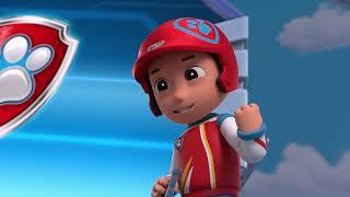 PAW Patrol