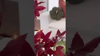 #homary #homarycom #otoño2024 #homedecor @Homary