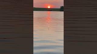 ЧТО МОЖЕТ БЫТЬ КРАСИВЕЕ? #рыбалка #fishing #поплавок #shorts #природа #рекомендации #красота