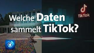 So sammelt TikTok Daten | China: Überwachungsstaat oder Zukunftslabor?