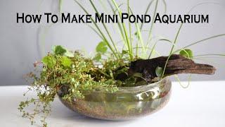 How To Make Mini Pond Aquarium  - Emers Plants