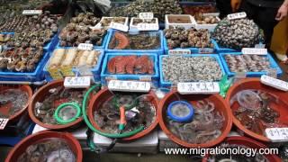 Fresh Seafood at Noryangjin Fish Market in Seoul, South Korea