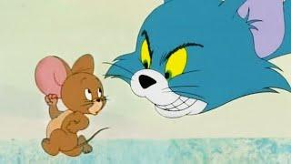 Tom e Jerry - O Gato da Mansão (2001) Curta Legendado | Cartoon Network - Boomerang