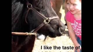 11 Horses That Are Not Sorry for What They’ve Done