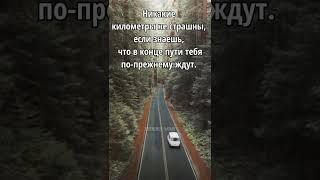 Мудрость слова  Цитаты со смыслом! Правда жизни 