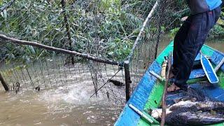 TERJEBAK NYA IKAN TAPAH DAN MASAK IKAN TAWES DIPINGIR SUNGAI