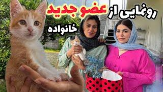 ولاگ یک روز با من و ماجرای عضو جدید خانوادمون با کلی صحبت خودمونی ️
