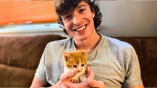 I Got a Kitten... | VOD