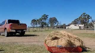 What Is So Great About The Paddock Blade Horse Manure Collector?