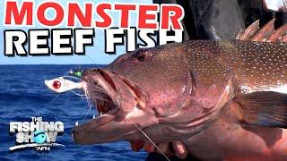 Reef Fishing for a Monster! | The Fishing Show