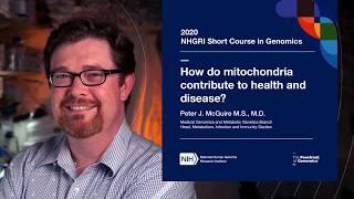 How do mitochondria contribute to health and disease? - Peter McGuire