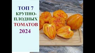 ЛУЧШИЕ КРУПНОПЛОДНЫЕ ТОМАТЫ 2024 ГОДА.