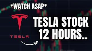 We are Getting Smoked.. (Tesla Stock Crash)