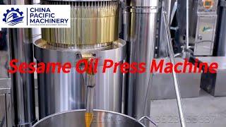 Sesame Oil Factory|Sesame Oil Processing|Cold Pressed Sesame Oil Press Machine|Sesame Oil Expeller