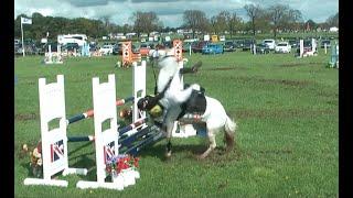 show jumping falls, fails and flings!