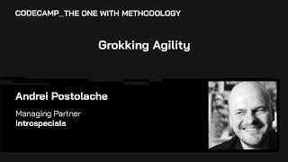 Grokking Agility, with Andrei Postolache