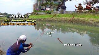 Heboh..mancing di pinggir jalan dapat ikan besar sampai jadi tontonan warga