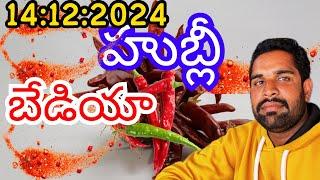 14:12:2024 #బ్యాడీగిమార్కెట్ హుబ్లీ మార్కెట్ #గుంటూరుమార్కెట్ #తెలంగాణమార్కెట్  |md hasan agri tech