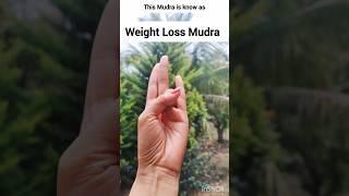 Surya Mudra#weightloss #thyroid #bloodsugar#constipation #yogaforbeginners #yoga #mudra #yogalife